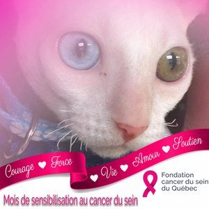 Meet your Posher, Marie-josée